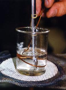 Beaker